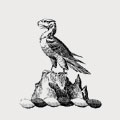 Maver family crest, coat of arms