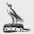 Noye family crest, coat of arms