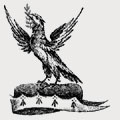 Noye family crest, coat of arms