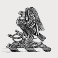 Child family crest, coat of arms