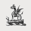 Palmer family crest, coat of arms