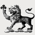 Wilson family crest, coat of arms