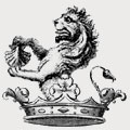 Janes family crest, coat of arms