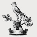 Hewett family crest, coat of arms