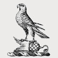Hewitt family crest, coat of arms