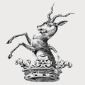 Muskett family crest, coat of arms