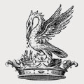 Sneyd-Edgeworth family crest, coat of arms