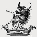 Smyth family crest, coat of arms