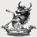 Smyth family crest, coat of arms