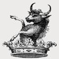 Emmott family crest, coat of arms