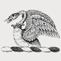 Pleckford family crest, coat of arms