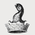 Sawyer family crest, coat of arms