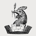 Elcocks family crest, coat of arms