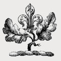 Kennedy family crest, coat of arms