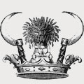 Scott family crest, coat of arms