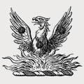 Aldridge family crest, coat of arms