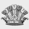 Devon family crest, coat of arms