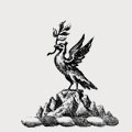 Hamond family crest, coat of arms