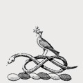 Ruspeni family crest, coat of arms