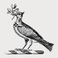 Casteja family crest, coat of arms