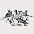 Pitt family crest, coat of arms