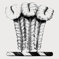 Harding family crest, coat of arms