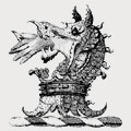 Jones family crest, coat of arms