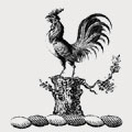 Cock family crest, coat of arms