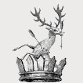 Robinson family crest, coat of arms