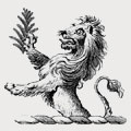 M'grigor family crest, coat of arms