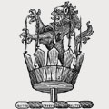 Pole family crest, coat of arms