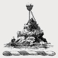Scott family crest, coat of arms