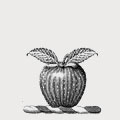 Appleford family crest, coat of arms