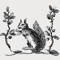 Hazel family crest, coat of arms