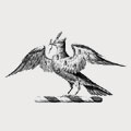 More family crest, coat of arms
