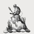 Martyn family crest, coat of arms