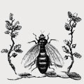 Boorman family crest, coat of arms