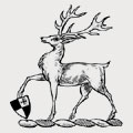 Robinson family crest, coat of arms