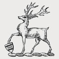 Gardiner family crest, coat of arms