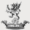 Griffith family crest, coat of arms