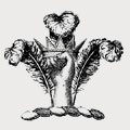 Van Raalte family crest, coat of arms
