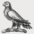 Parrott family crest, coat of arms