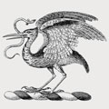 Tuckey family crest, coat of arms