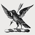 Murdoch family crest, coat of arms