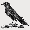 Raven family crest, coat of arms
