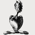 Aberton family crest, coat of arms