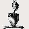 Moore family crest, coat of arms
