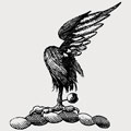 Sapye family crest, coat of arms