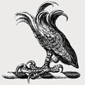 Jocelyn family crest, coat of arms
