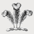 Jervoise family crest, coat of arms